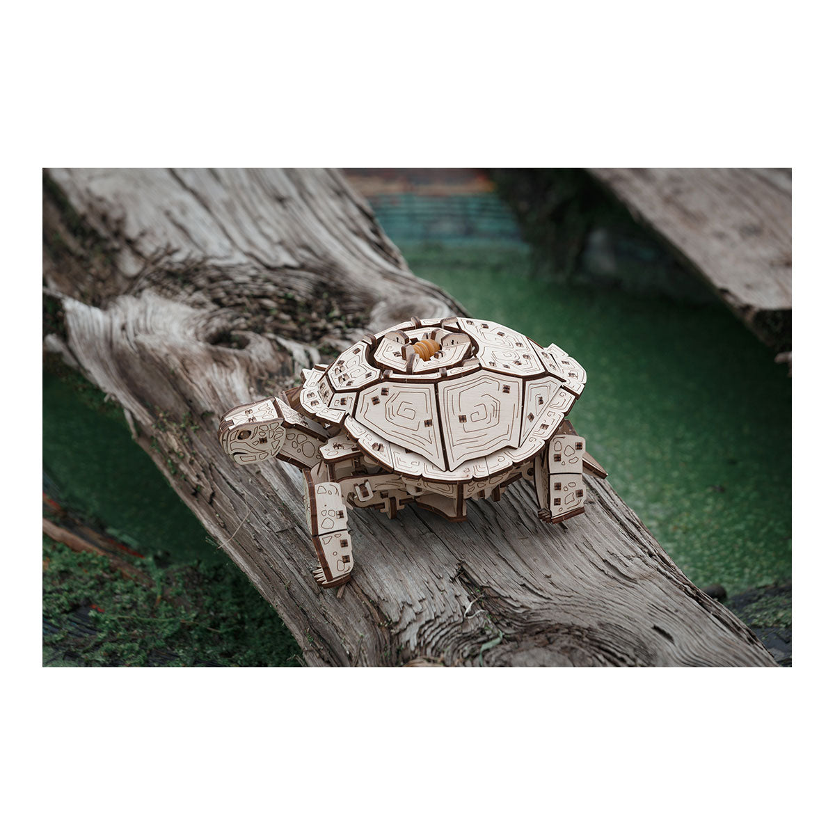 3D-Holzpuzzle Mechanische Schildkröte