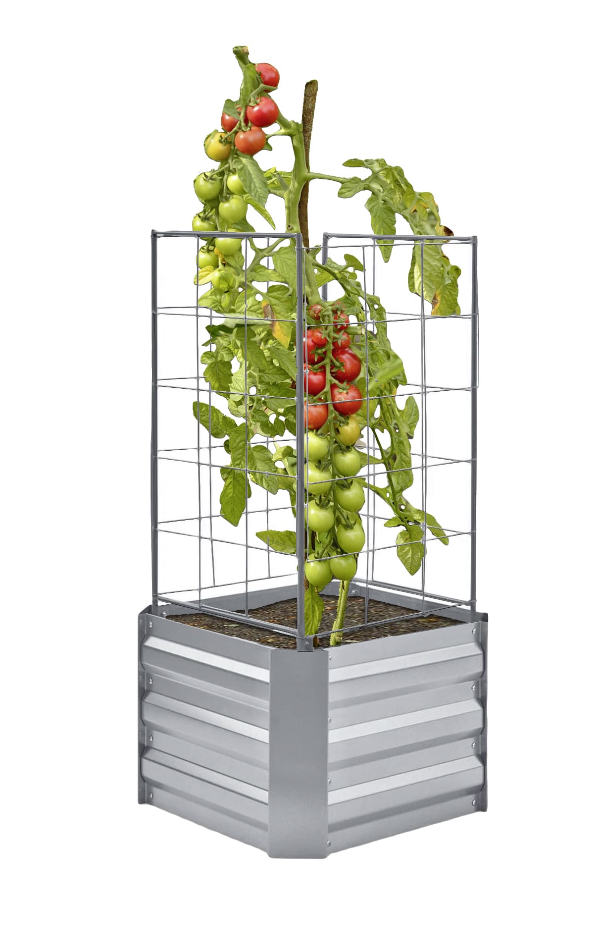 Beetumrandung mit Rankhilfe DAHLIA (2er-Set)