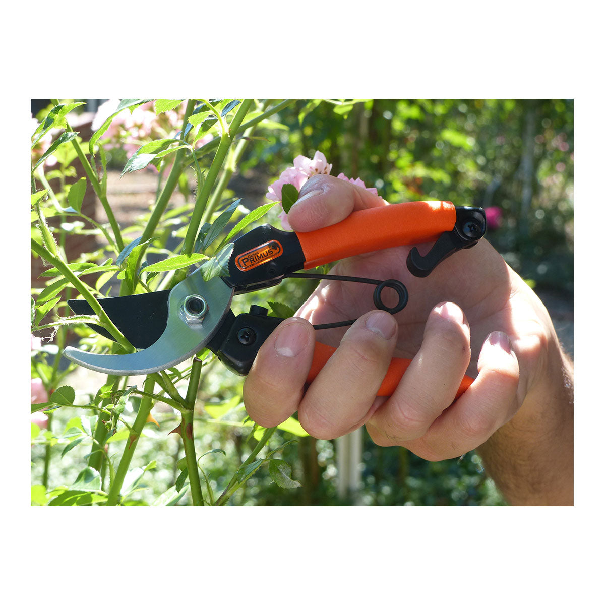 Damen Garten-Schere