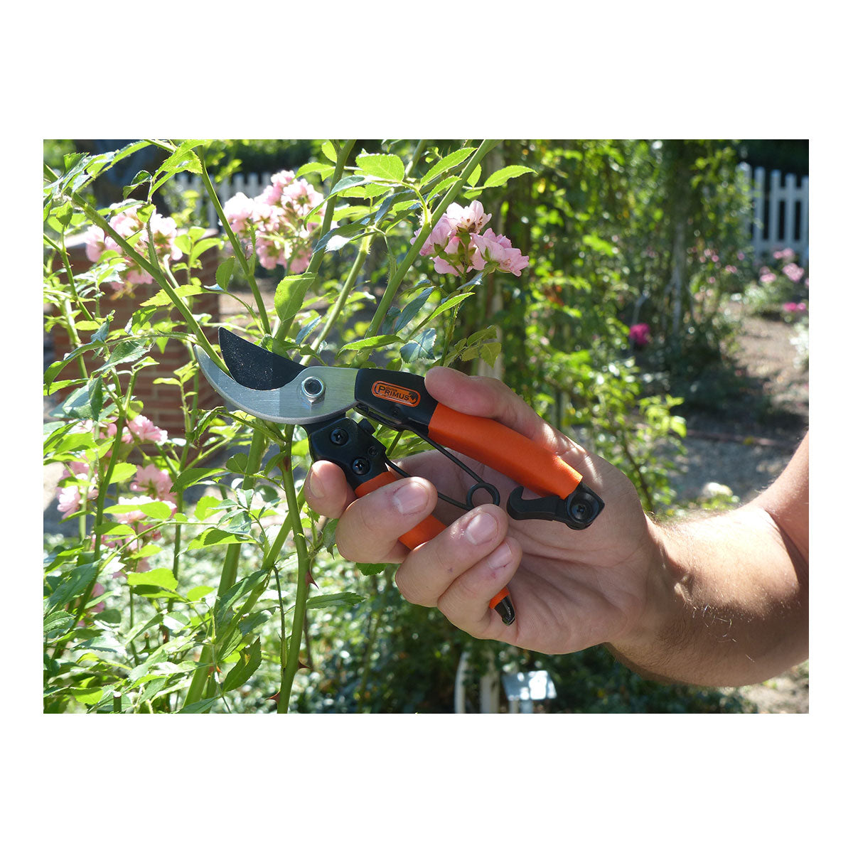 Damen Garten-Schere
