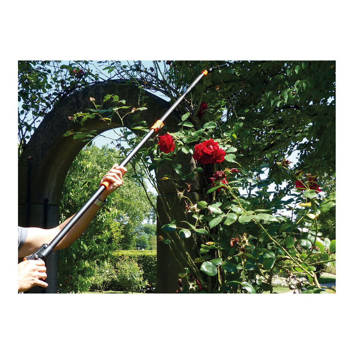 Rosenkavalier Rosen-Schere - teleskopierbar