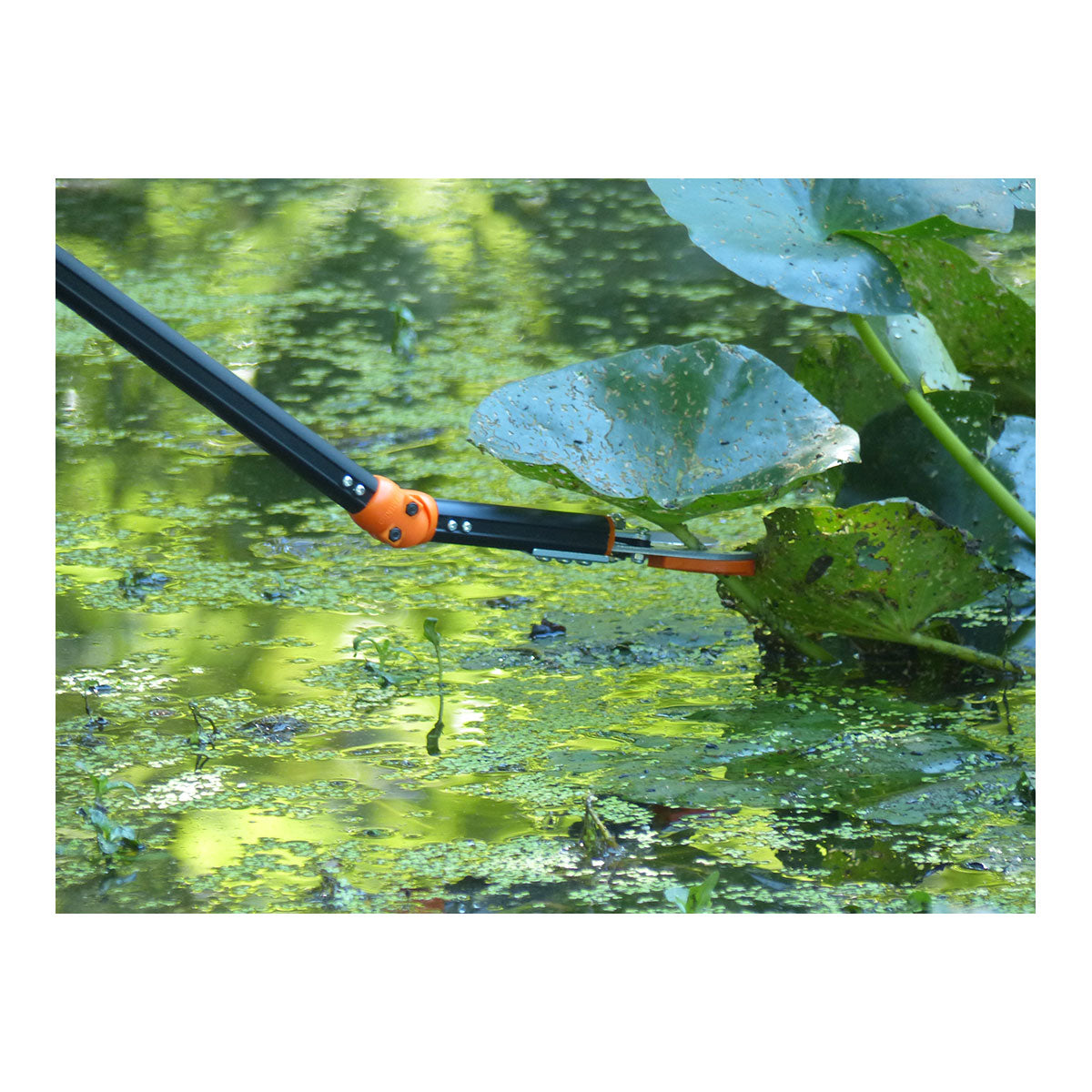 Rosenkavalier Rosen-Schere - teleskopierbar