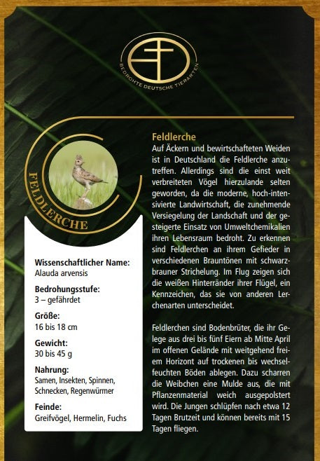 Goldbarren Bedrohte Tierarten "Feldlerche"