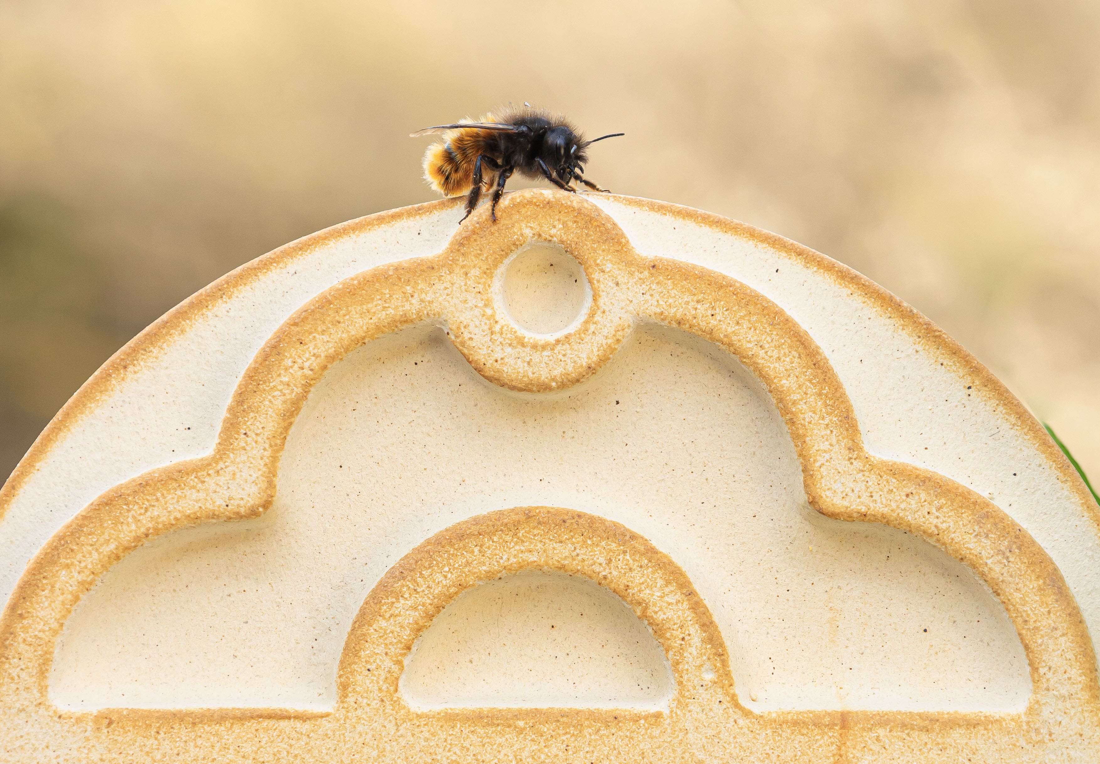 Wildbienenhaus Blume aus CeraNatur®-Keramik (Artgerechte Nisthilfe für bedrohte Bestäuber)
