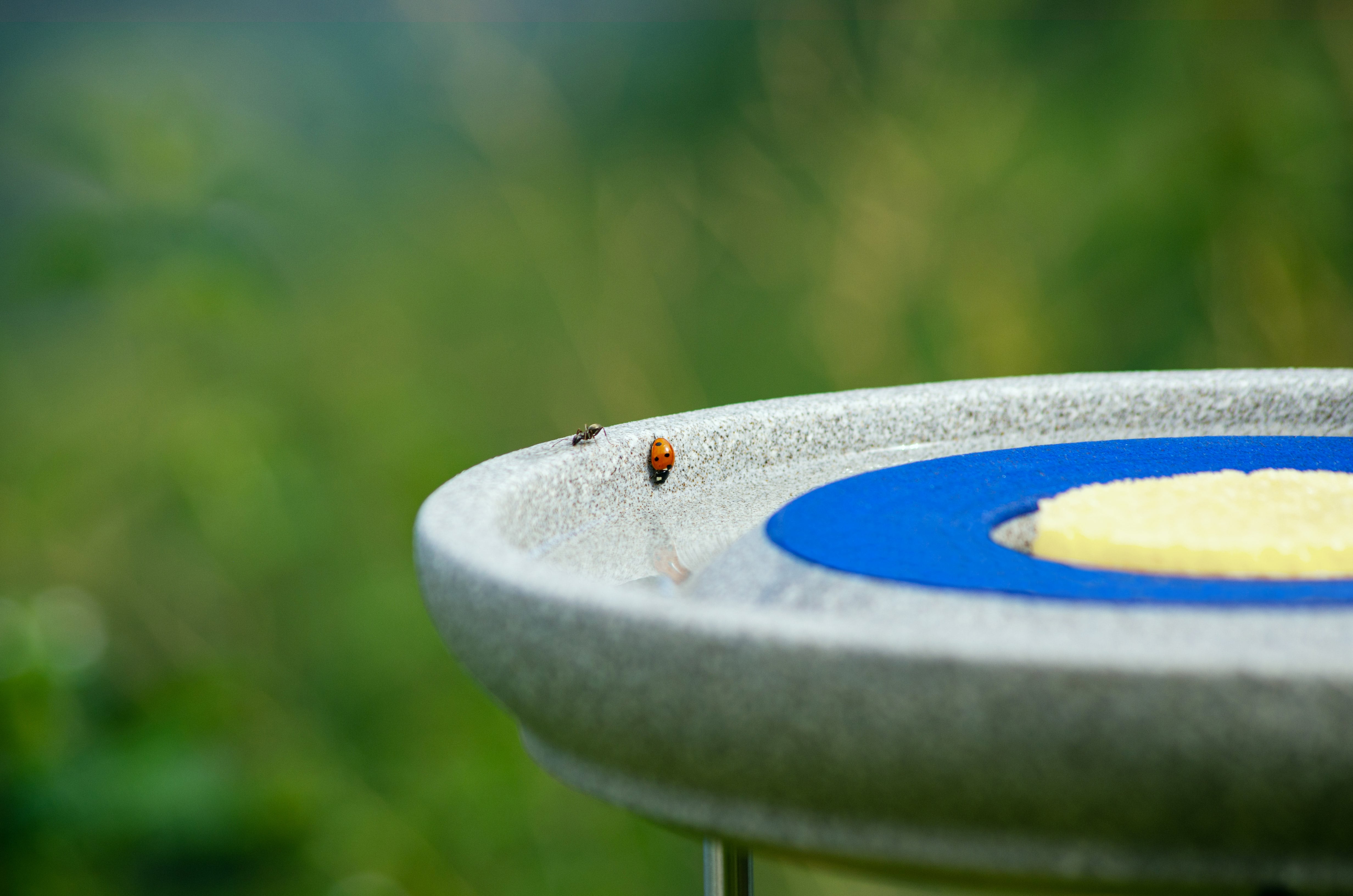 Insektenstation mit Ständer (ein Beitrag zum Insektenschutz)
