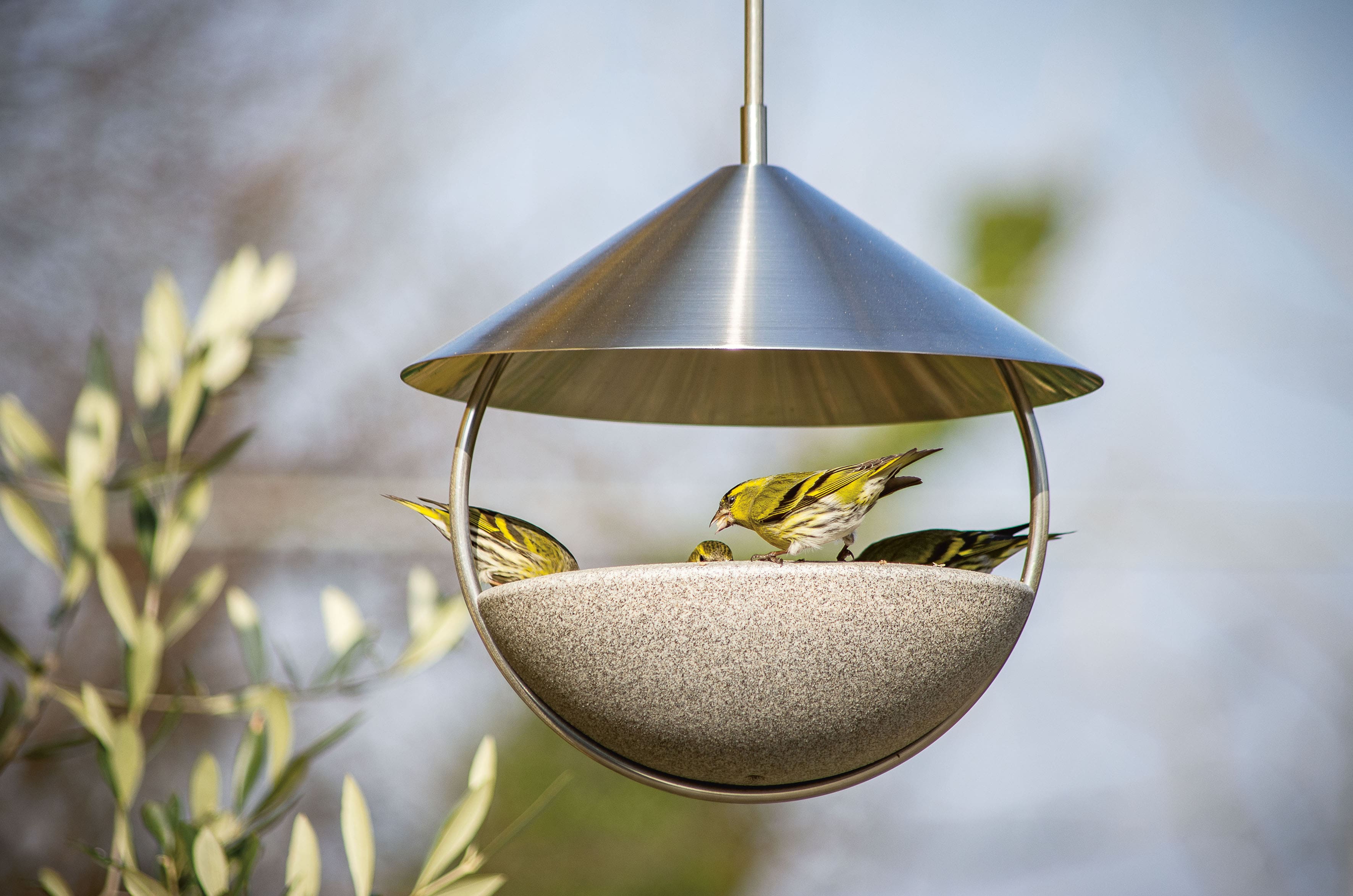 Around Futterhaus Granicum zum Hängen