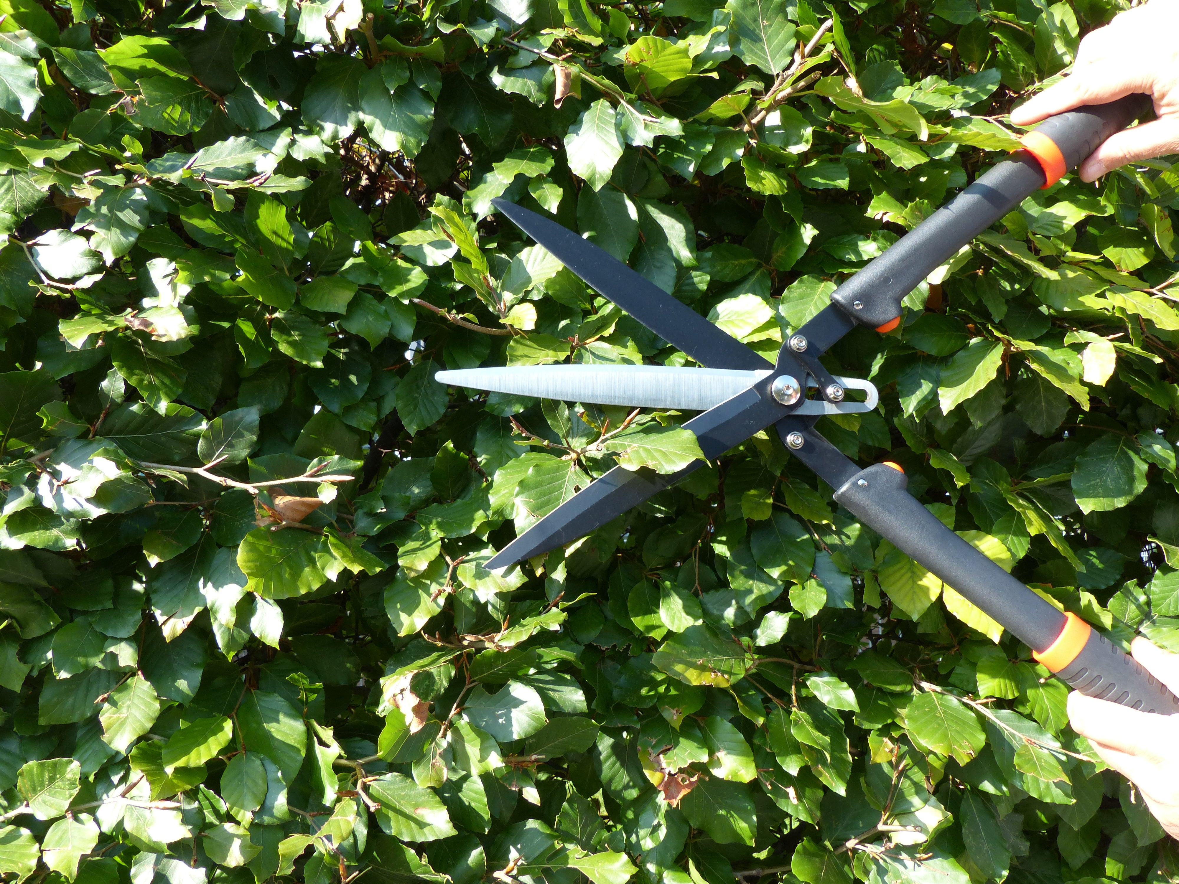 Heckenschere Multischnitt