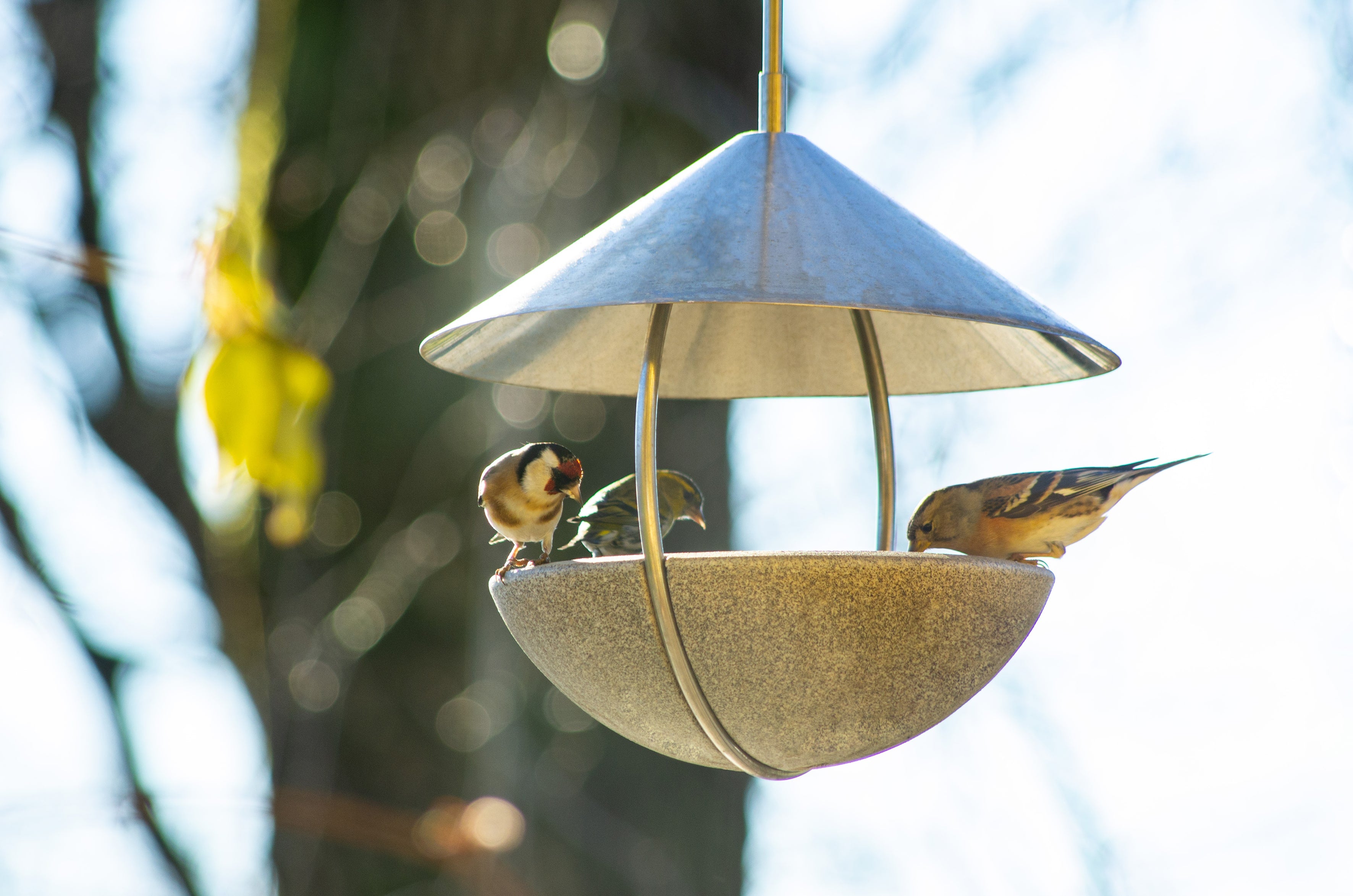 Around Futterhaus Granicum zum Hängen