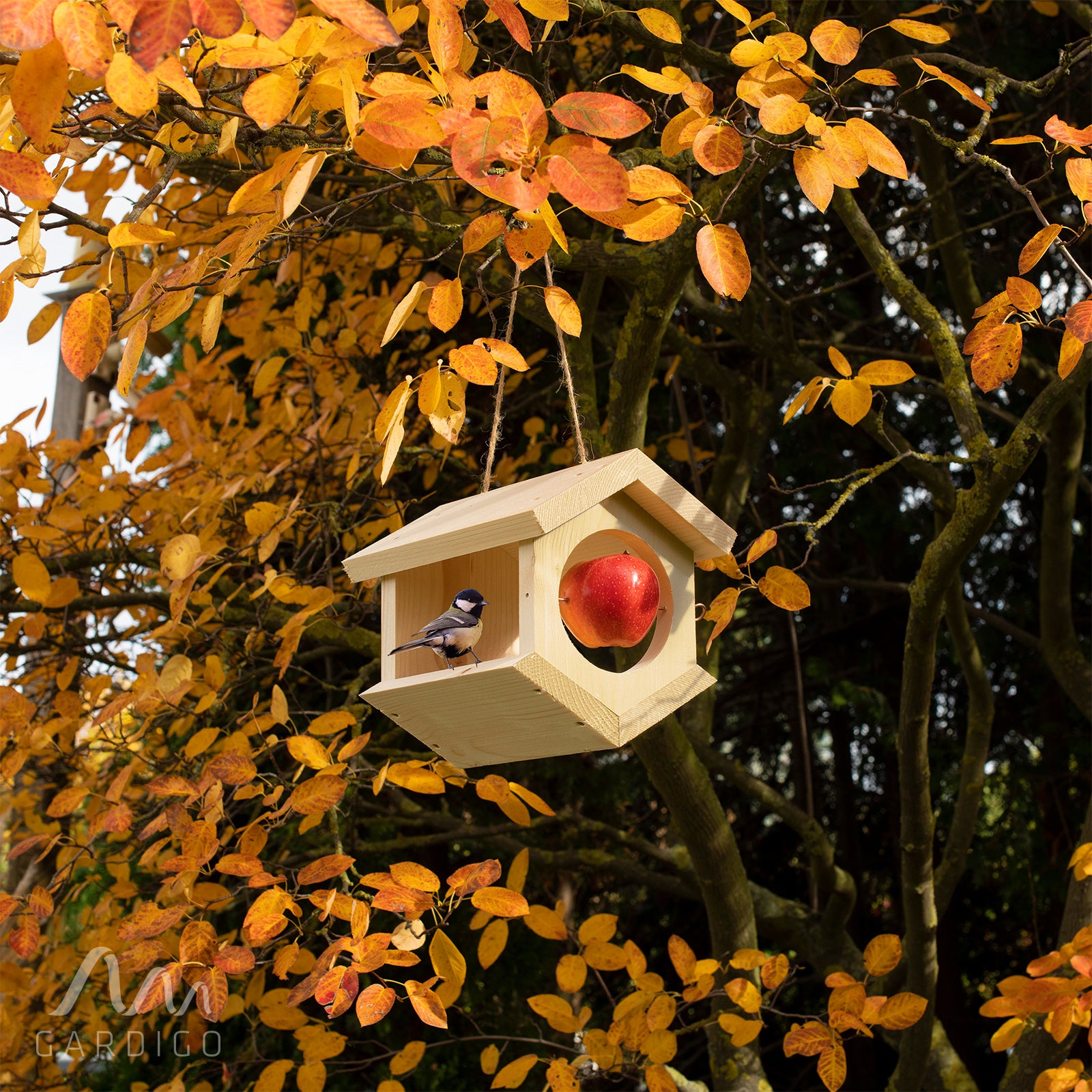 Vogel Futterhaus-Modul