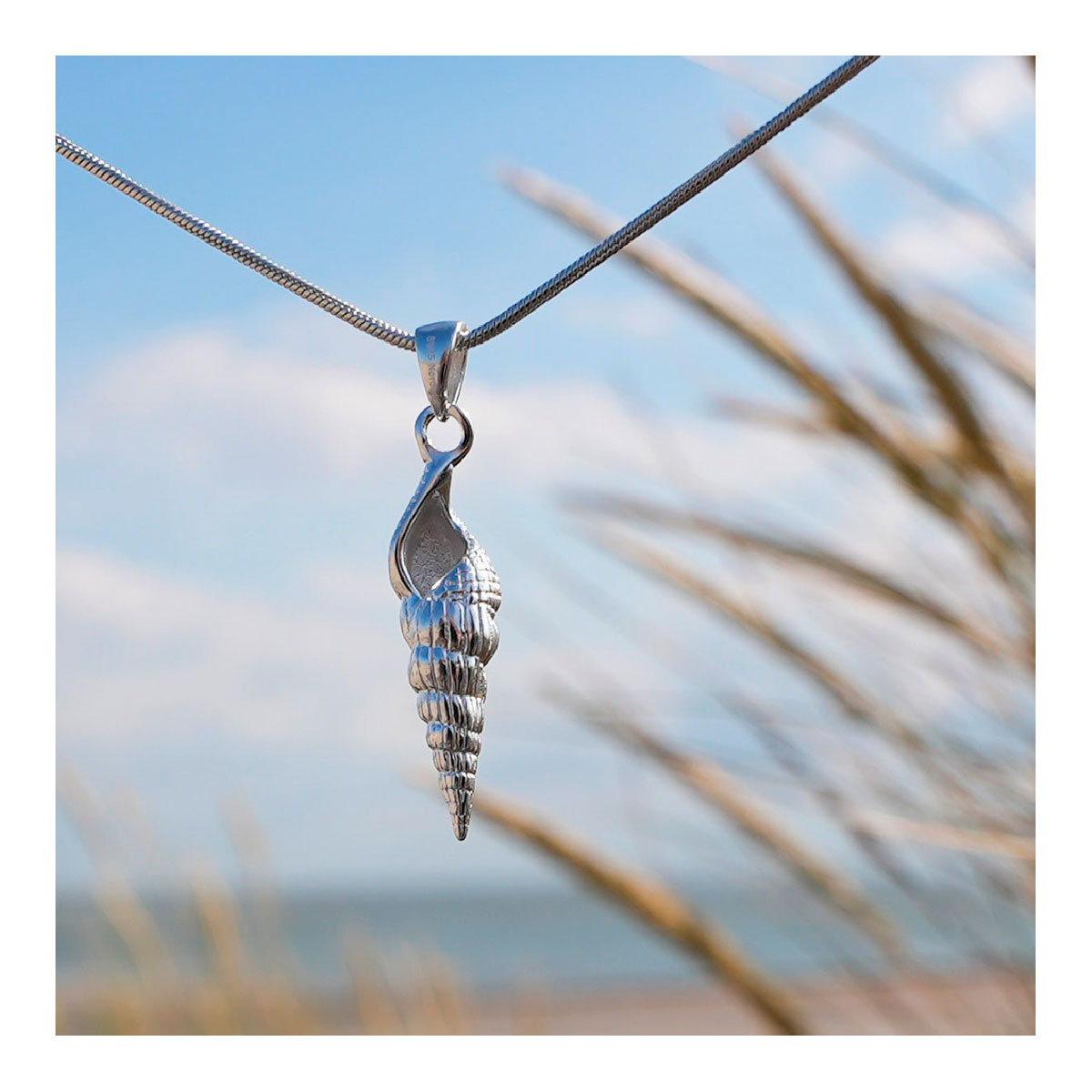 Kettenanhänger Ringelmuschel - 925er Sterling Silber