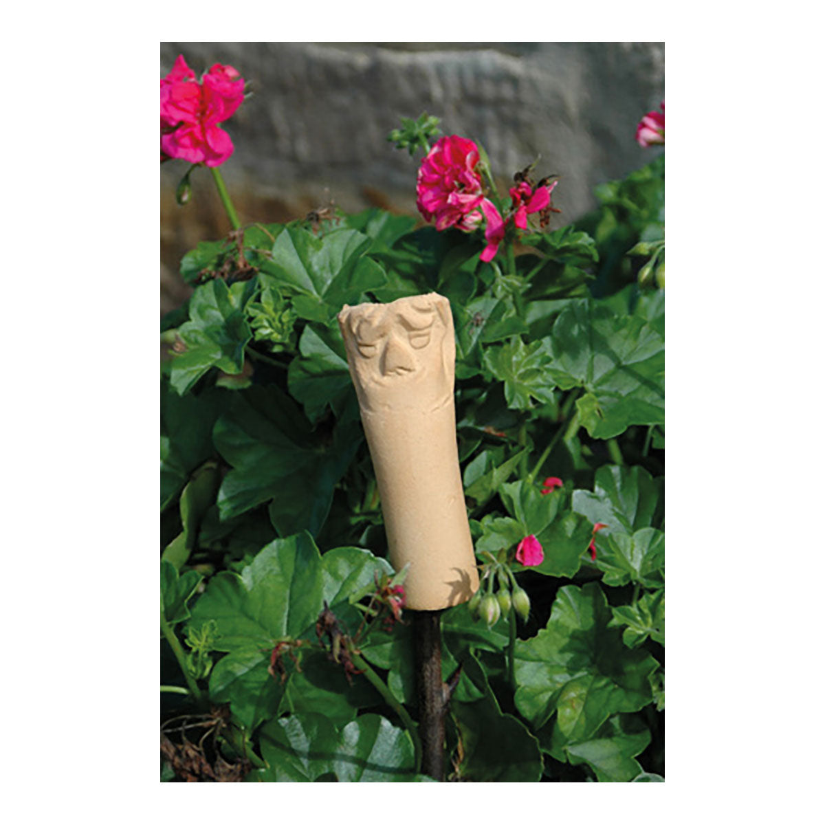 3er-Set Ohrwurmhaus: Insektenhaus und Schädlingsabwehr