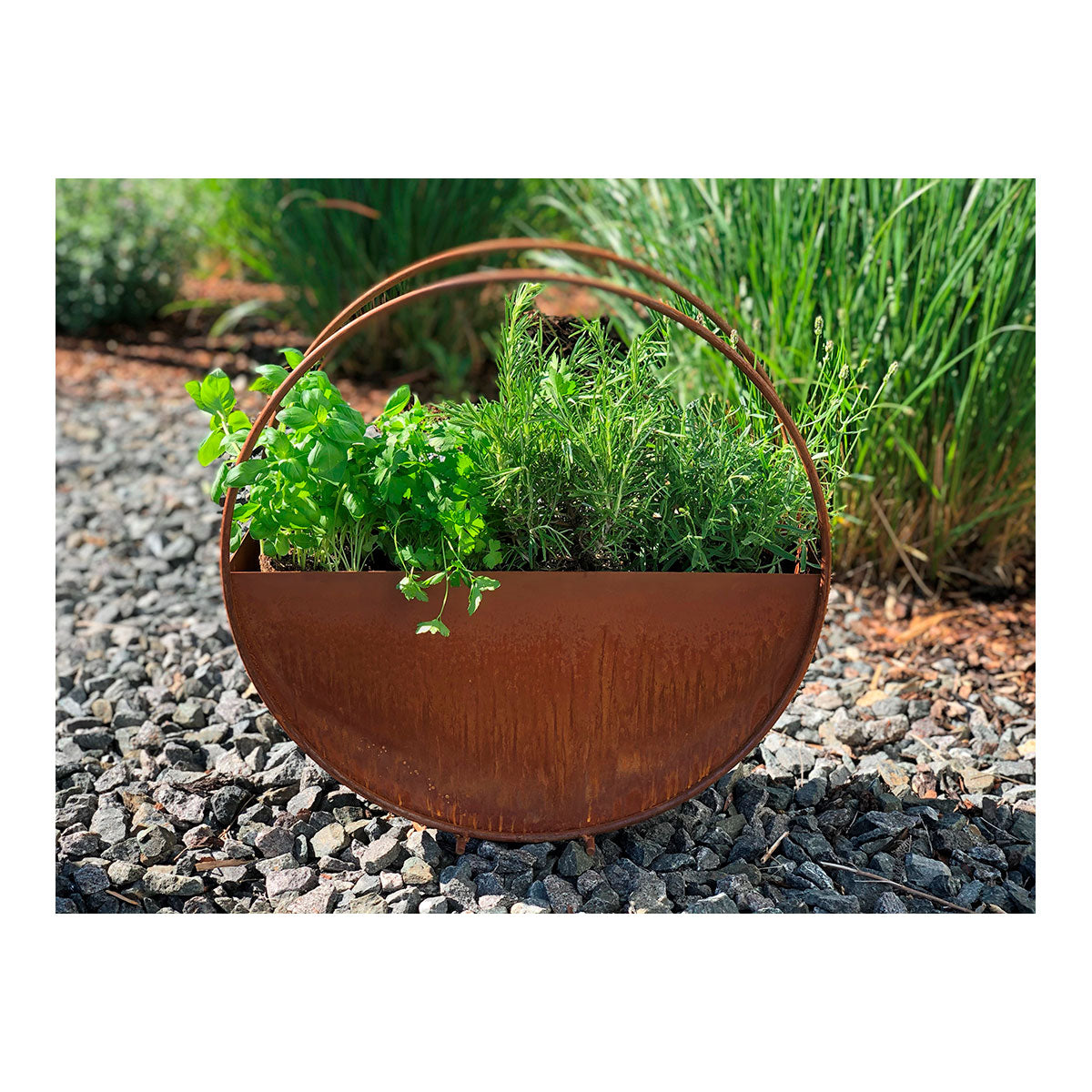 Pflanzkasten Sonja - Edelrost