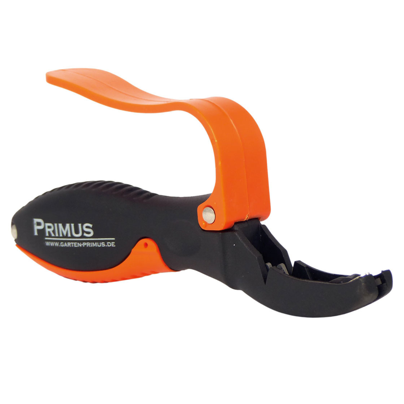 Multifunktionsschleifer