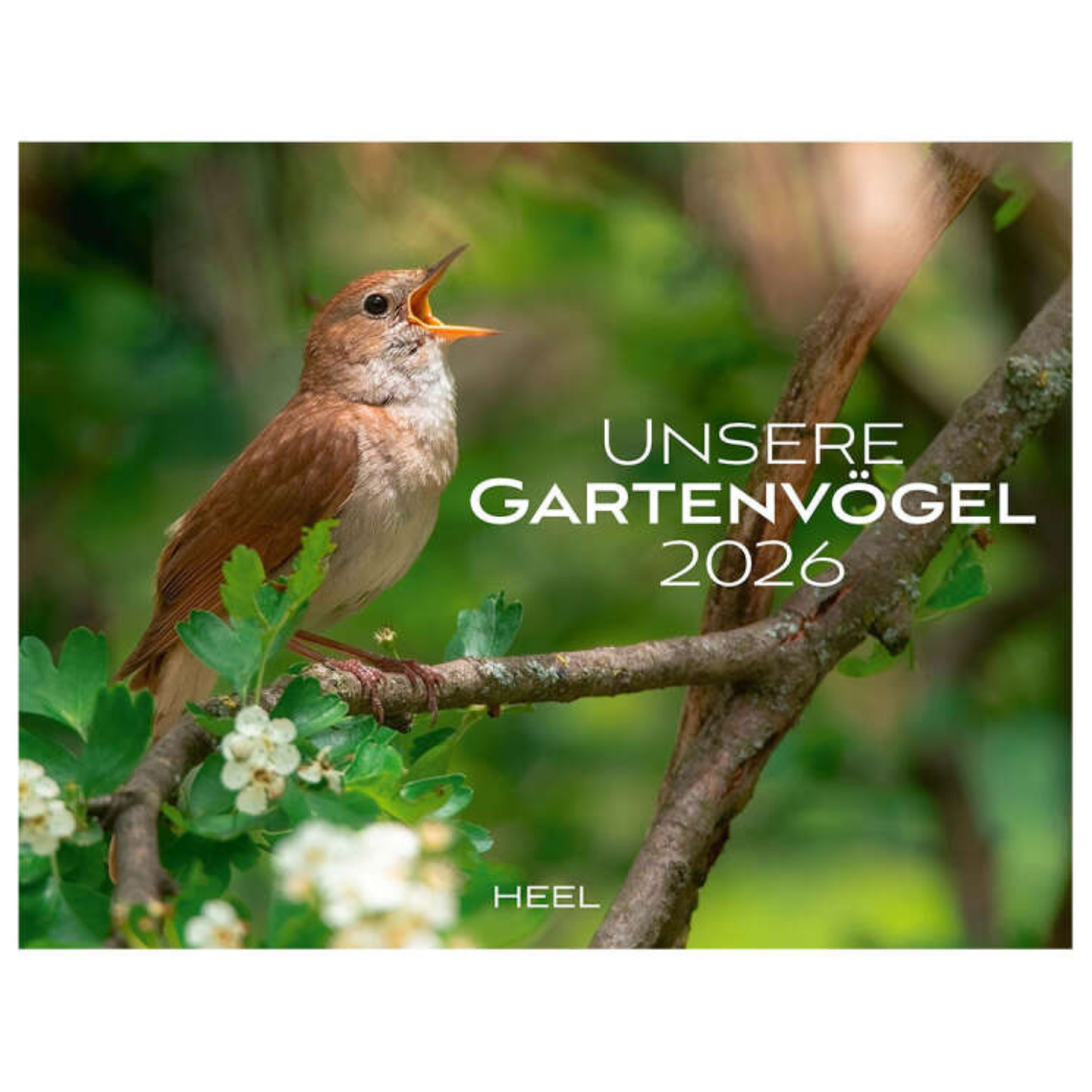 Unsere Gartenvögel 2026