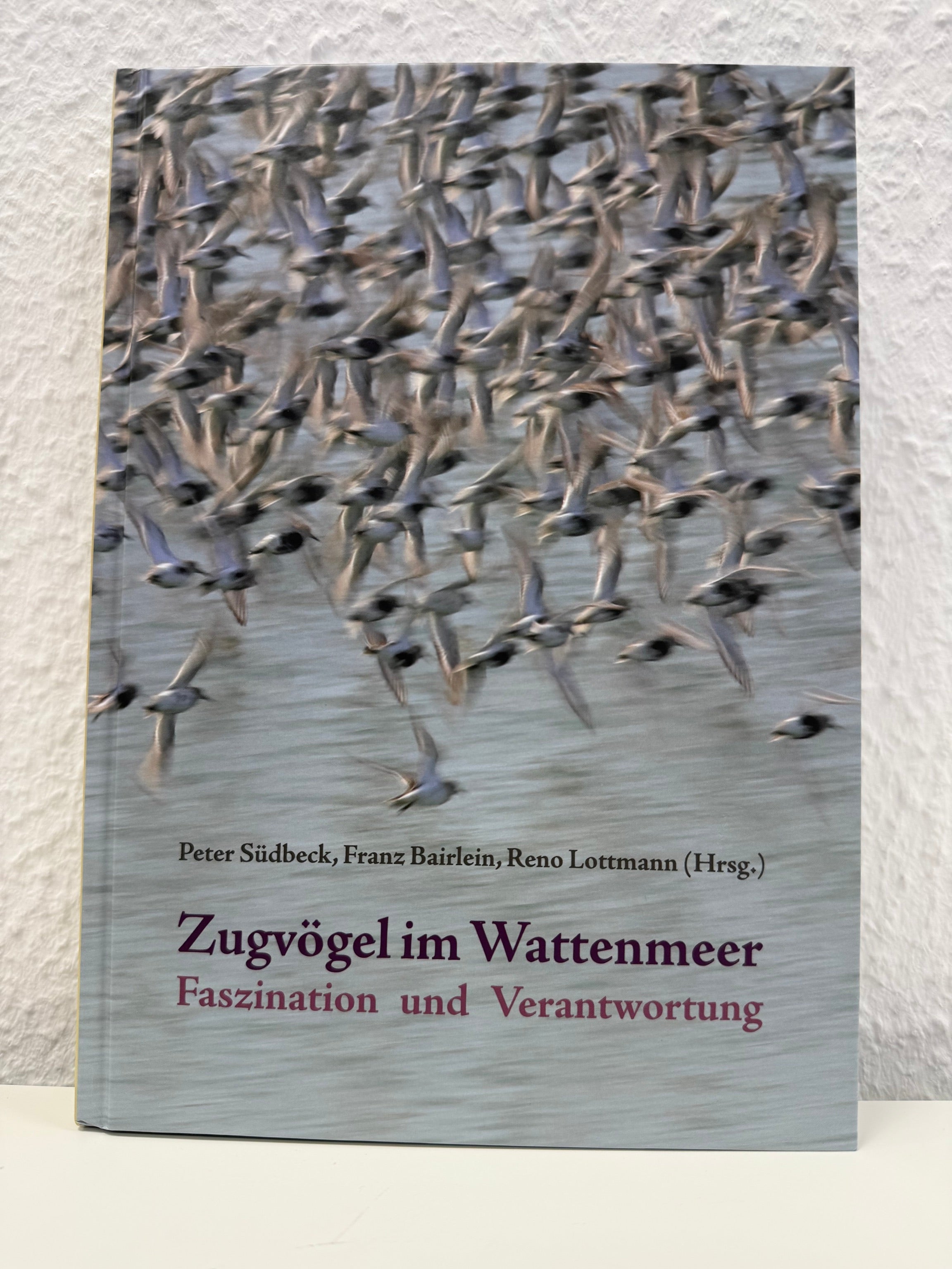 Zugvögel im Wattenmeer
