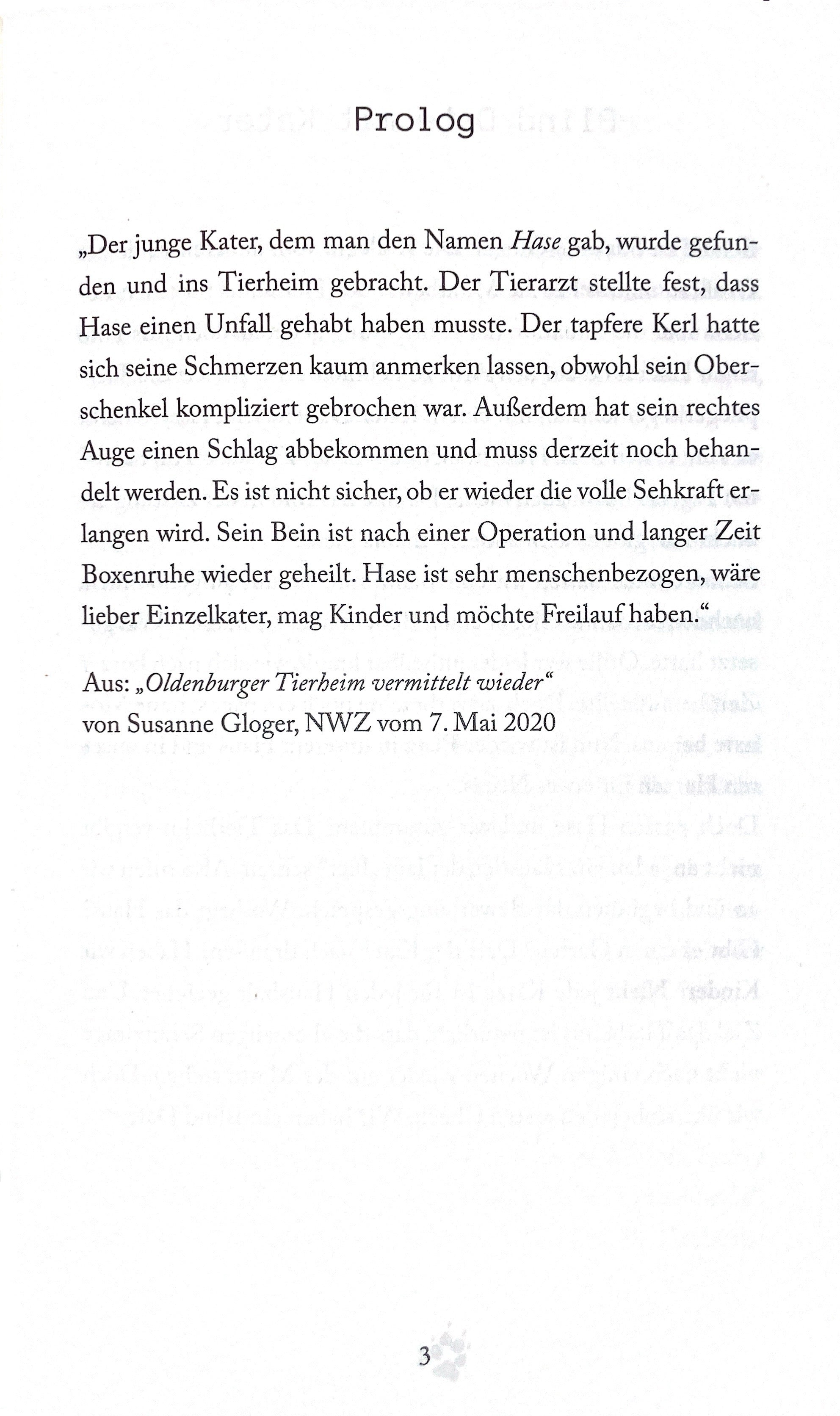 Ein Zuhause für Hase