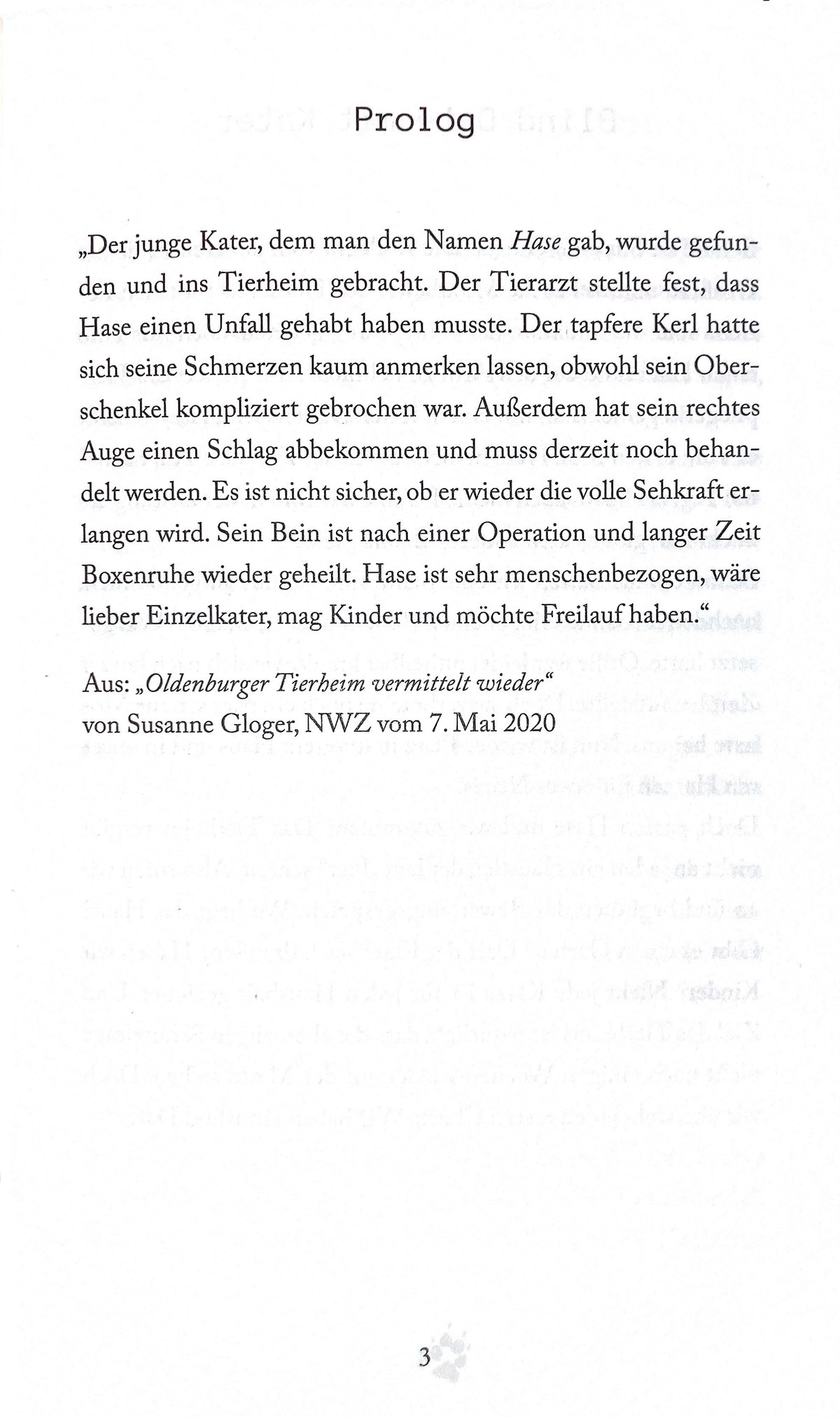 Ein Zuhause für Hase