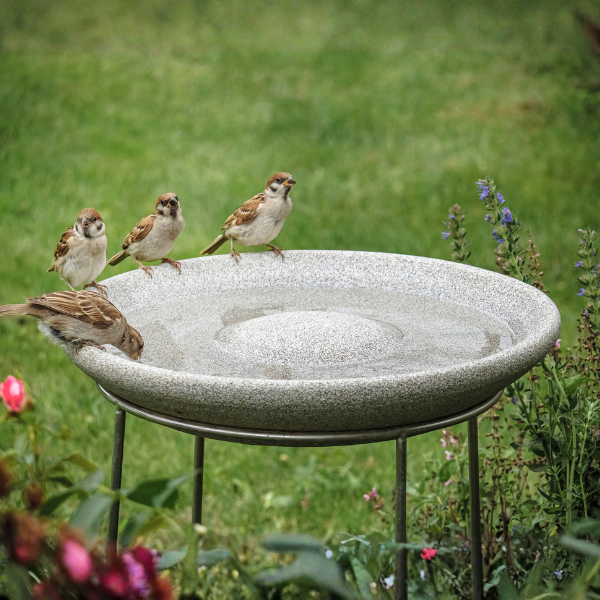 Vogeltränke Granicum mit Ständer (frostfest)