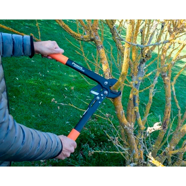 Dual-Cut-Ultraleichte Astschere