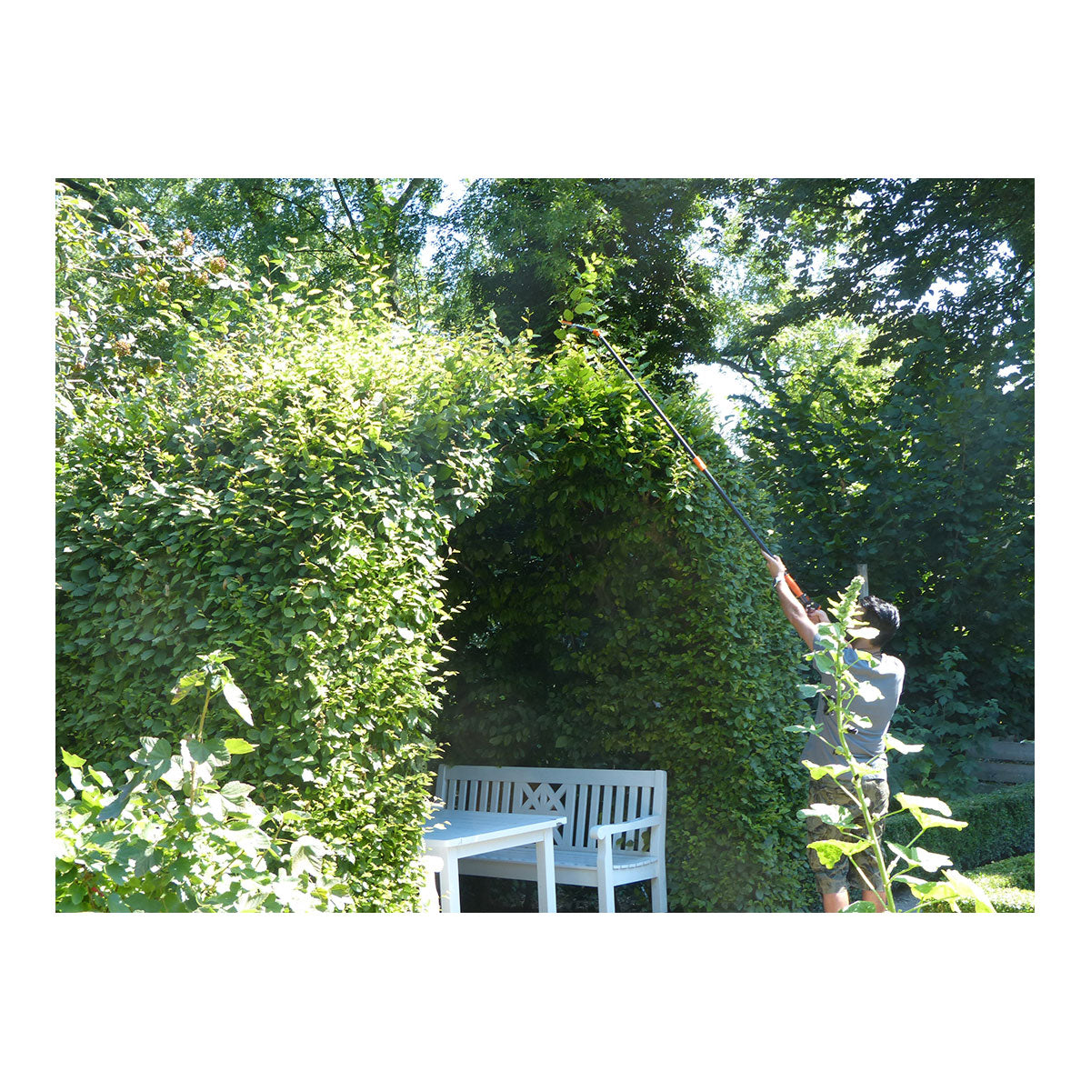 Rosenkavalier Rosen-Schere - teleskopierbar