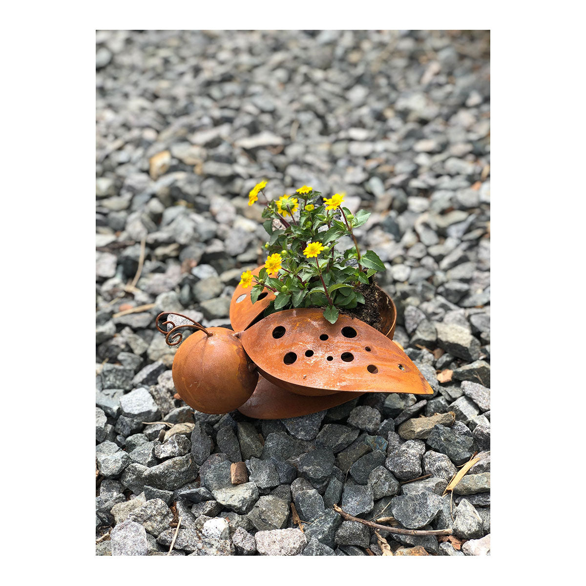 Marienkäfer 2er-Set