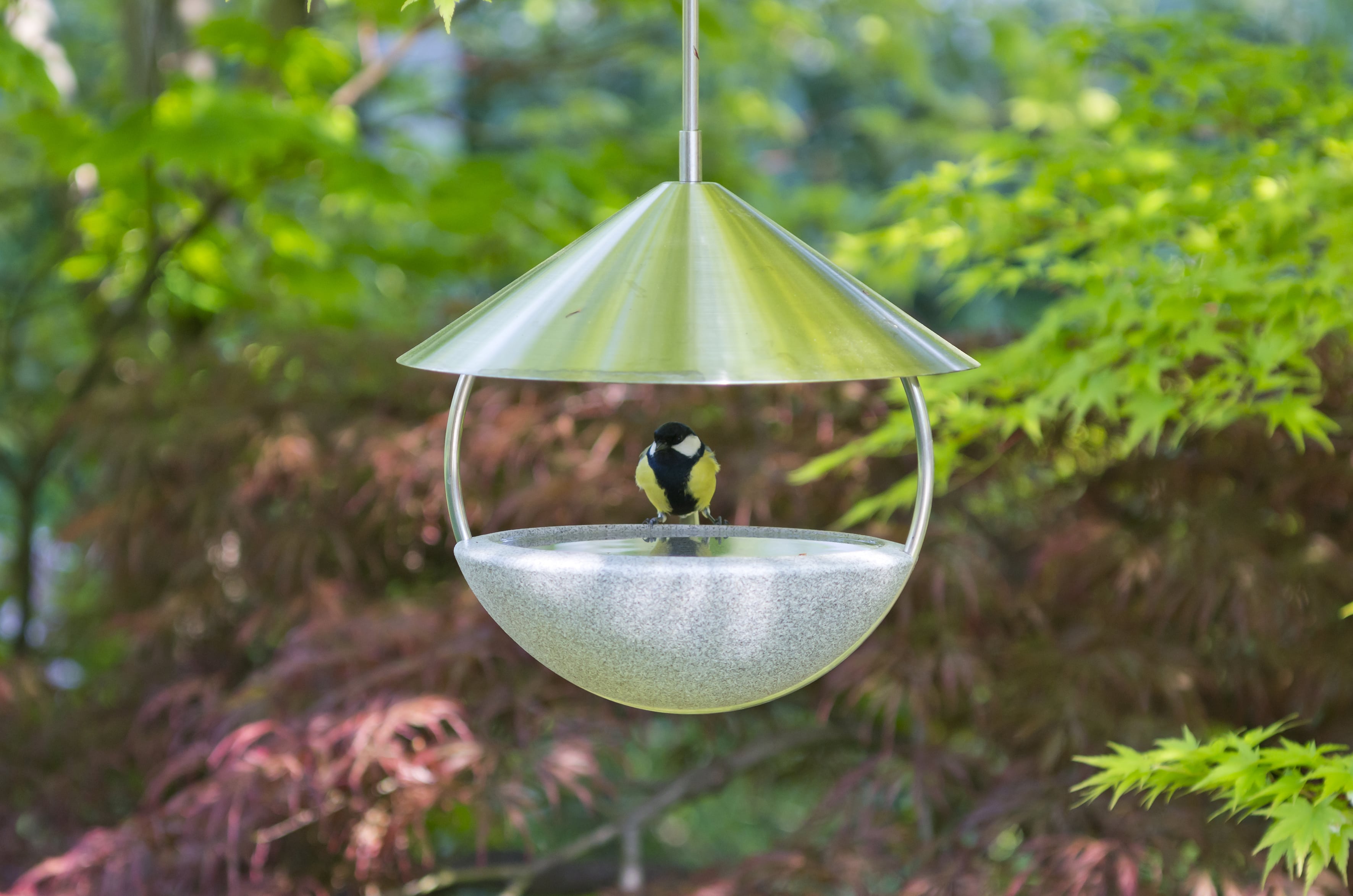 Around Futterhaus Granicum zum Hängen