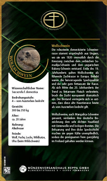 Goldbarren Bedrohte Tierarten "Wollschwein"