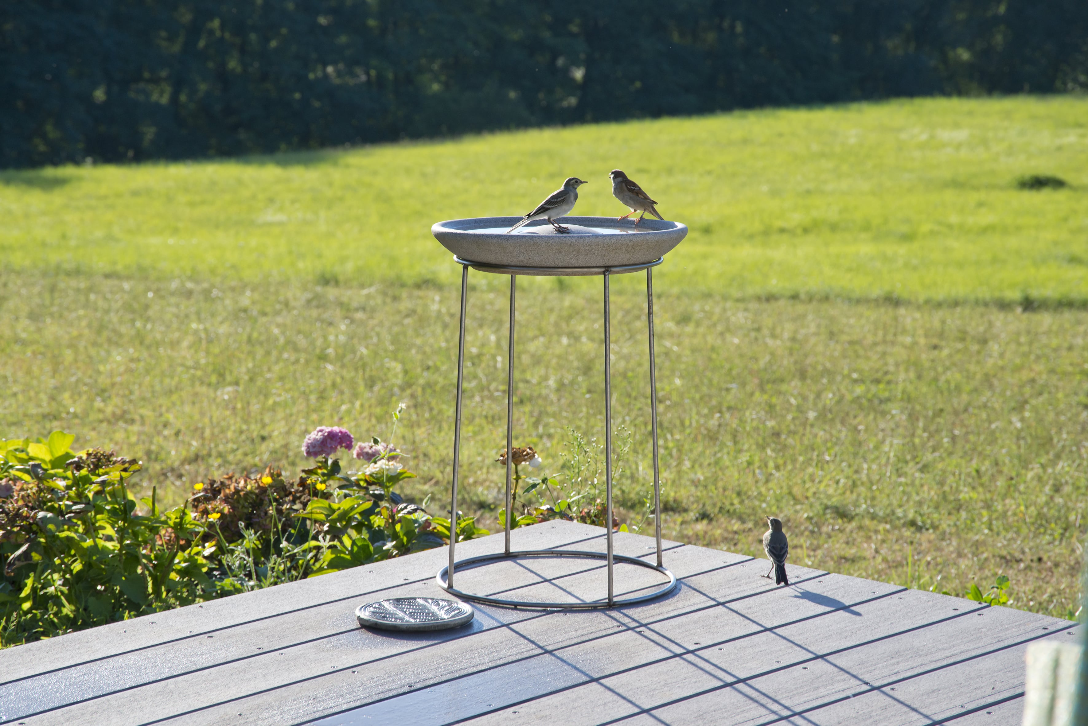 Vogeltränke Granicum mit Ständer (frostfest)