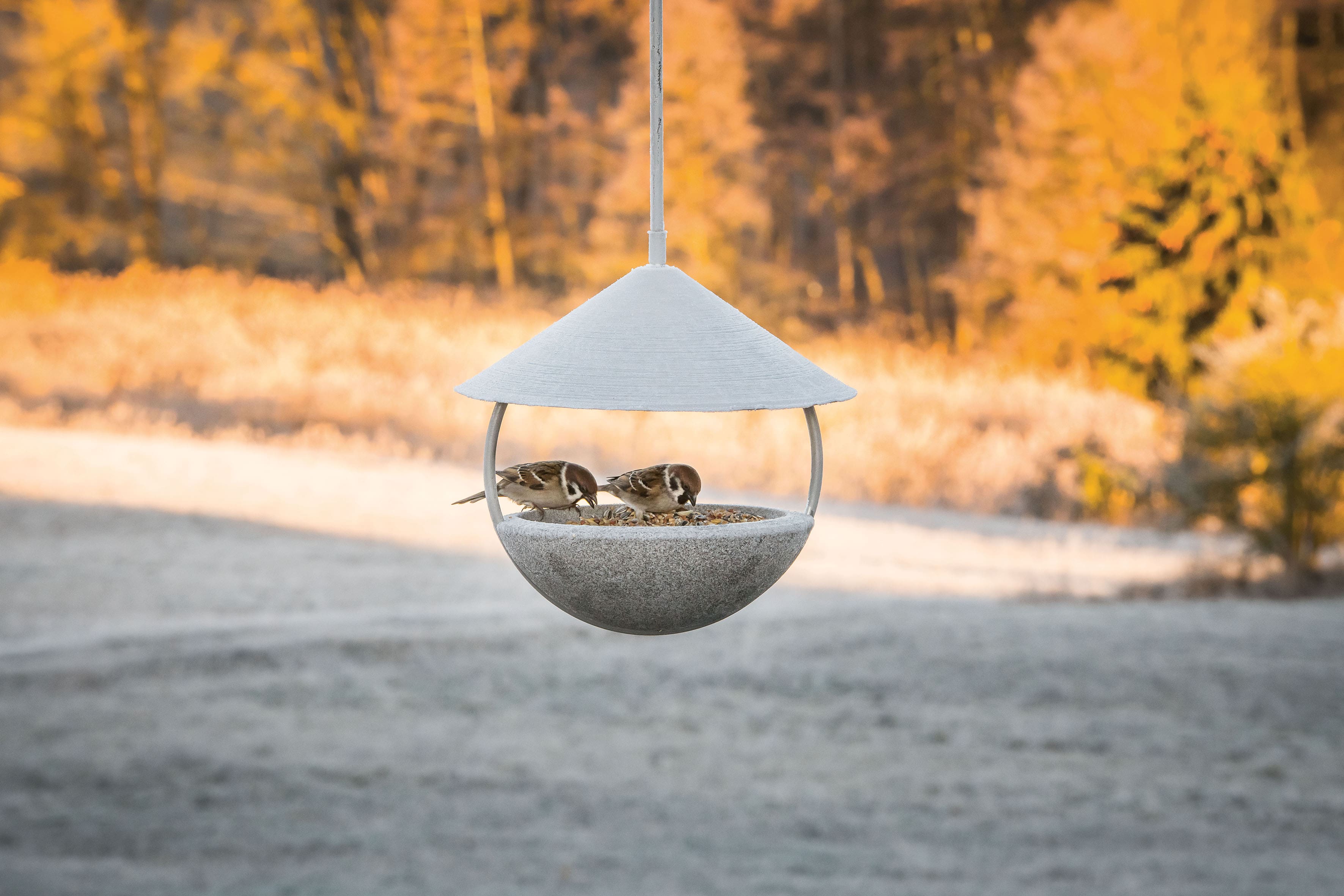 Around Futterhaus Granicum zum Hängen