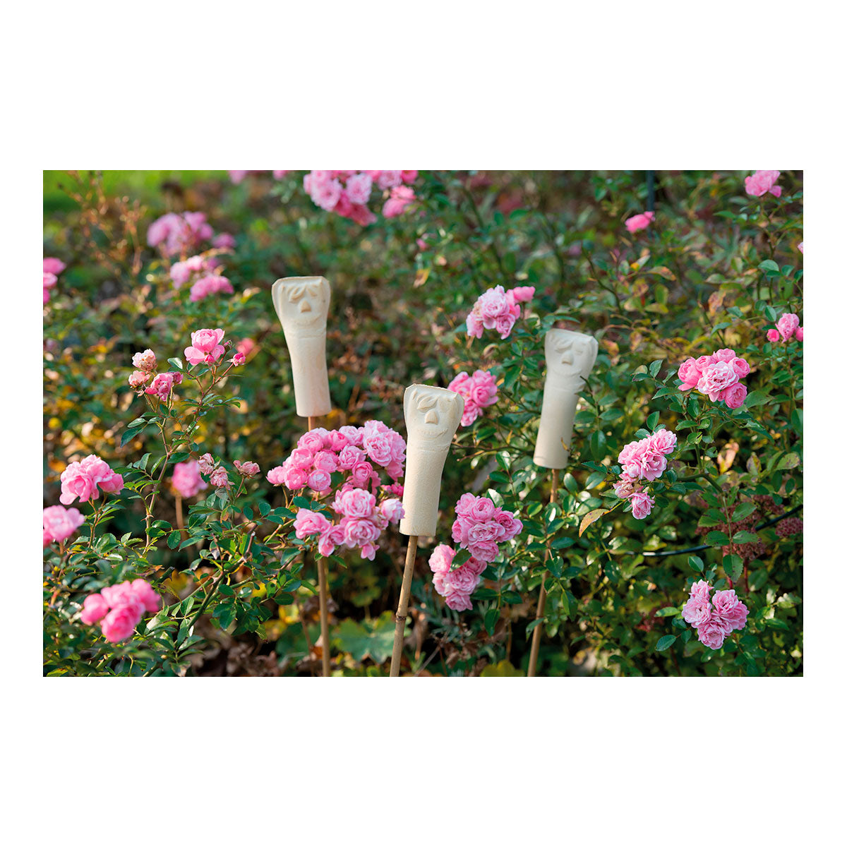 3er-Set Ohrwurmhaus: Insektenhaus und Schädlingsabwehr