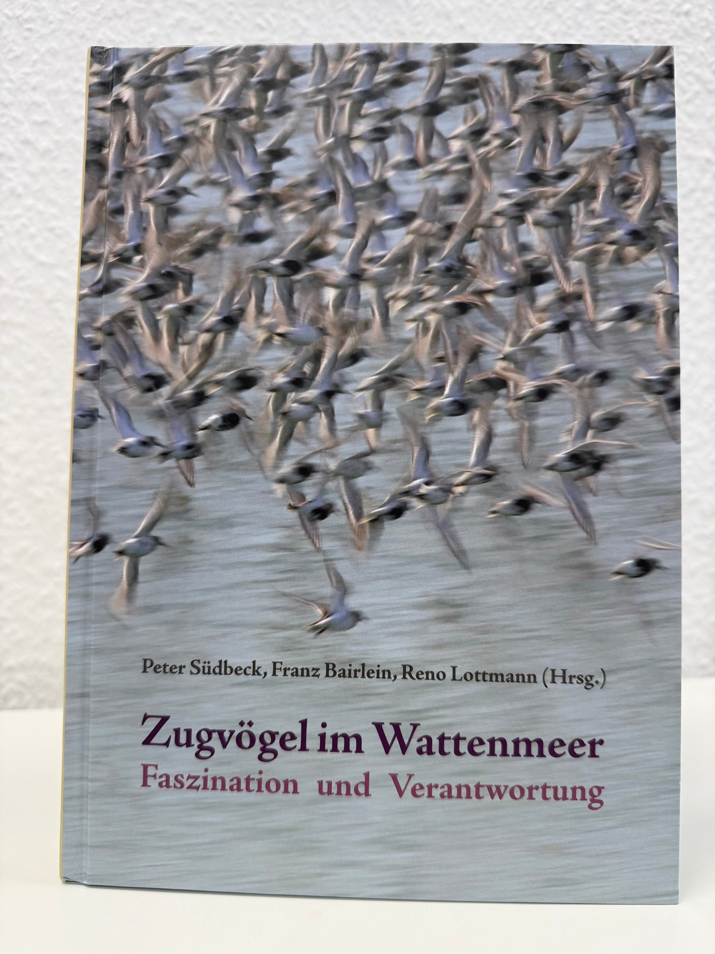 Zugvögel im Wattenmeer