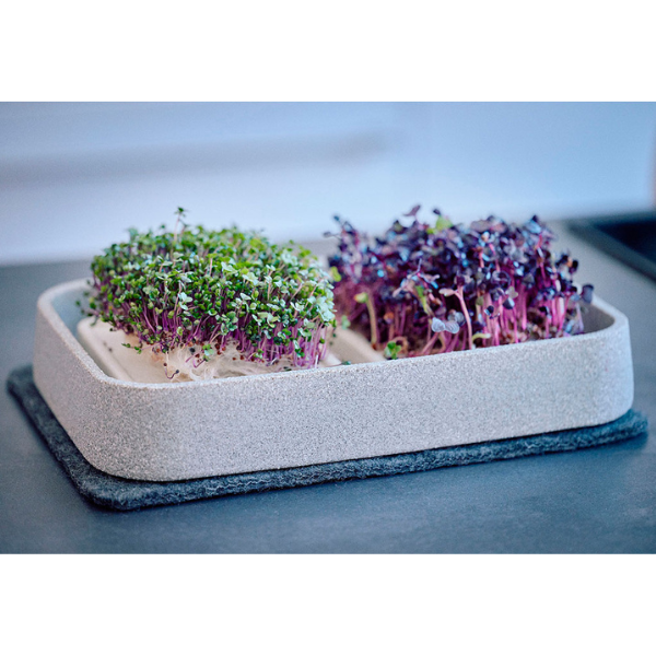 Mikrogarten XL Granicium mit Kräuterschere