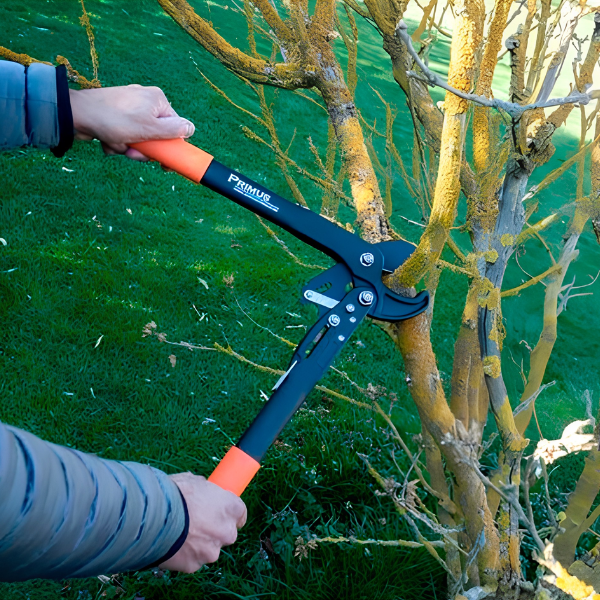 Dual-Cut-Ultraleichte Astschere