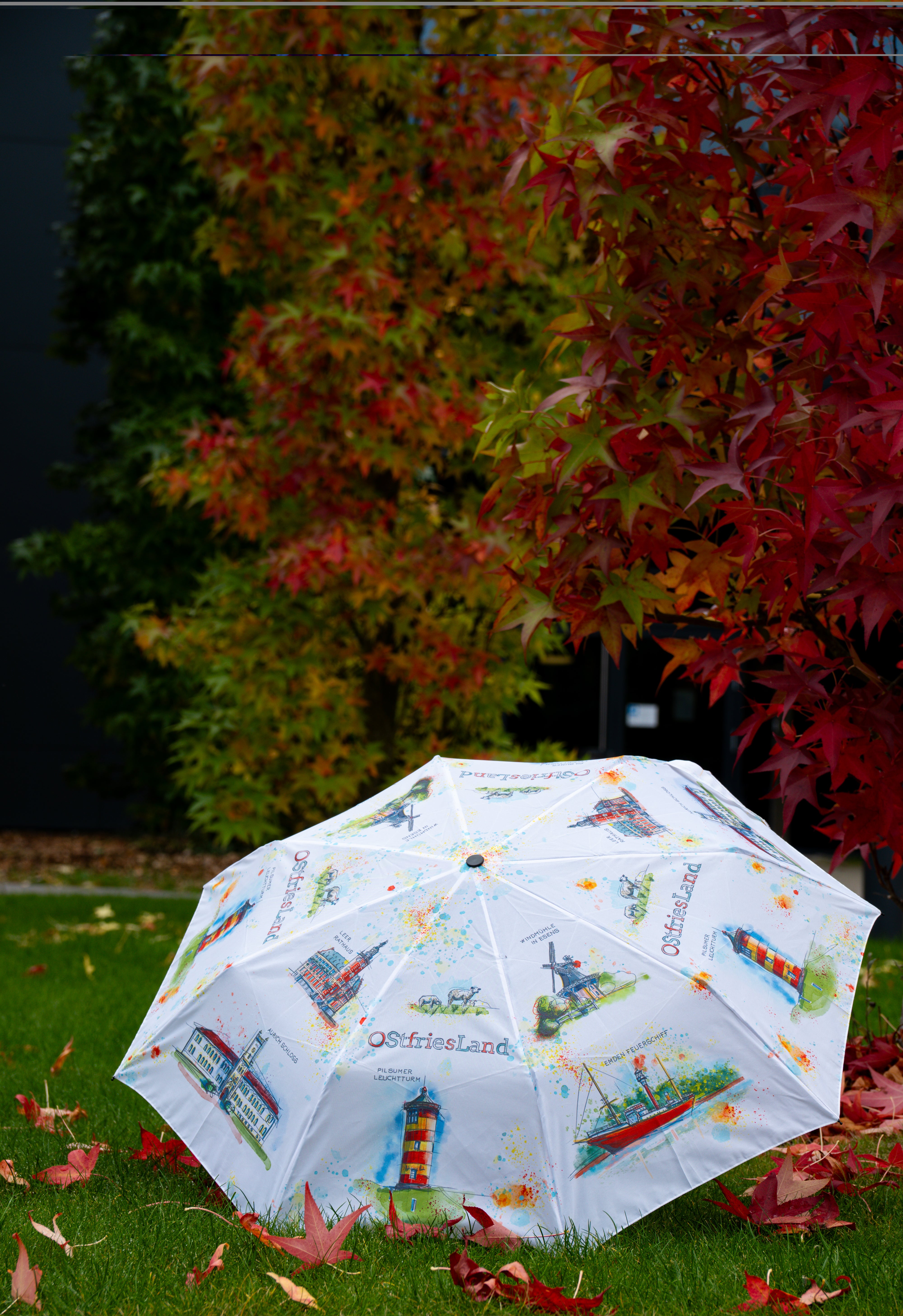 Ostfriesland Taschenschirm